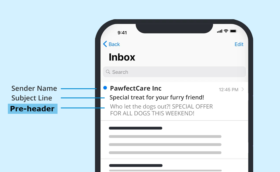 Preheader text, email sender name, and subject line are in the inbox.