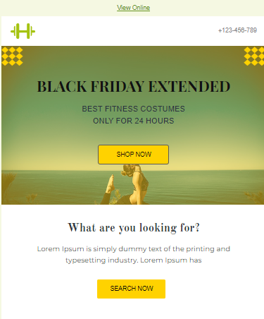 MailBluster's Black Friday email template. Black Friday extended email templates. 9.1