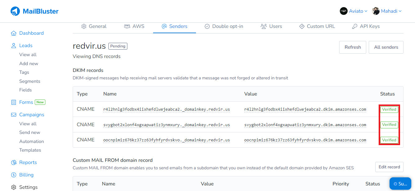 DKIM records verification status