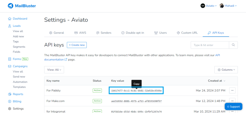 Key value in API keys in MailBluster