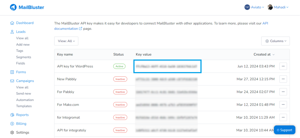creating and copying API value on MailBluster