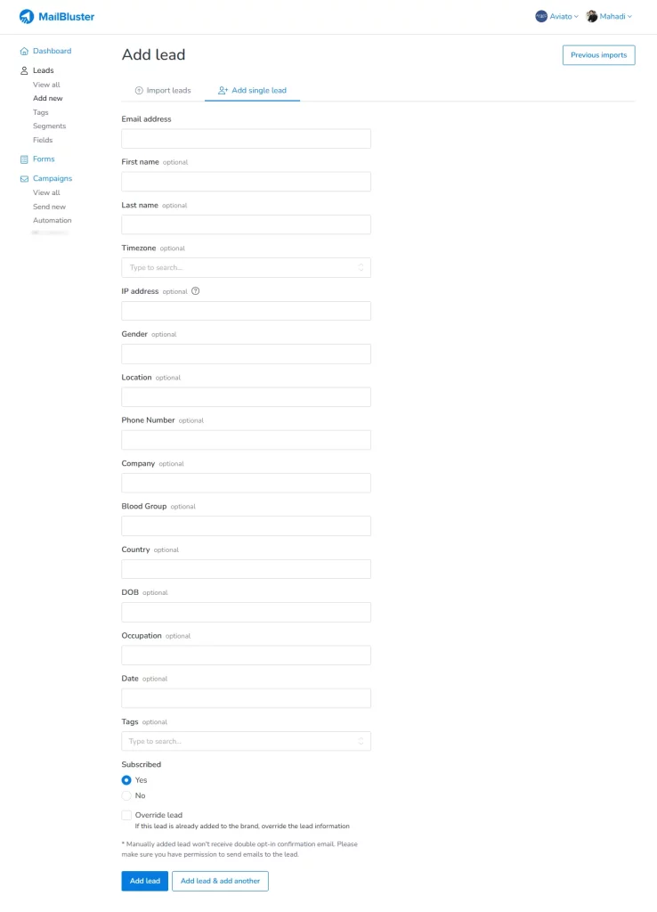 Single lead input section on MailBluster