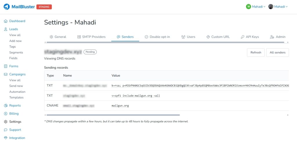 DNS records on MailBluster