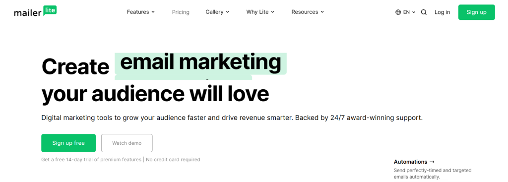 One of the email segmentation tools: MailerLite homepage