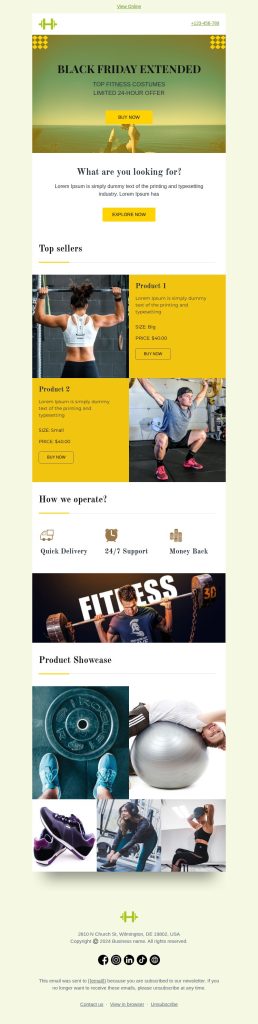 Black Friday extended “for 24 hours” email template