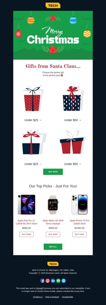 Christmas gifts holiday email template.