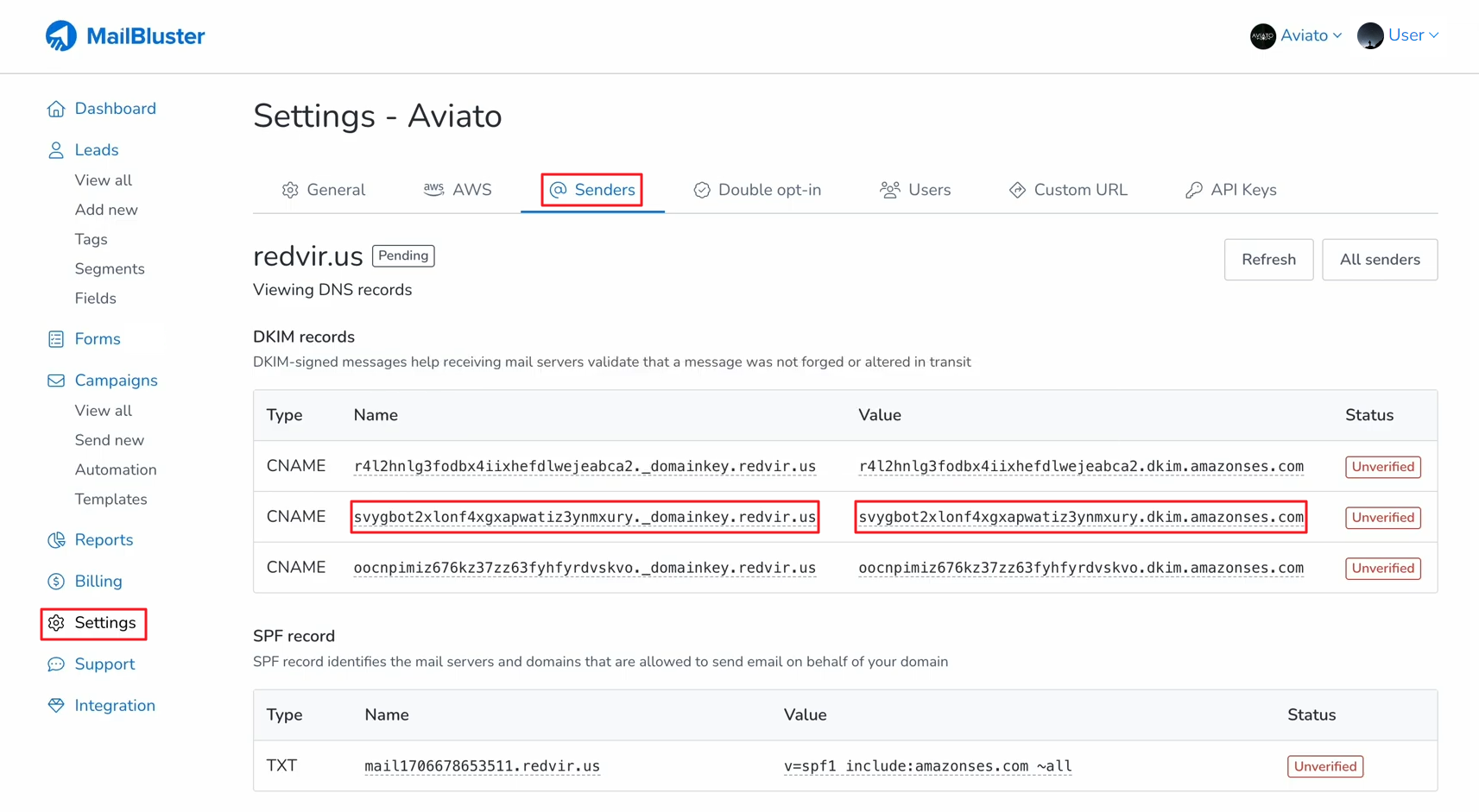 Copying 2nd CNAME record and its Value