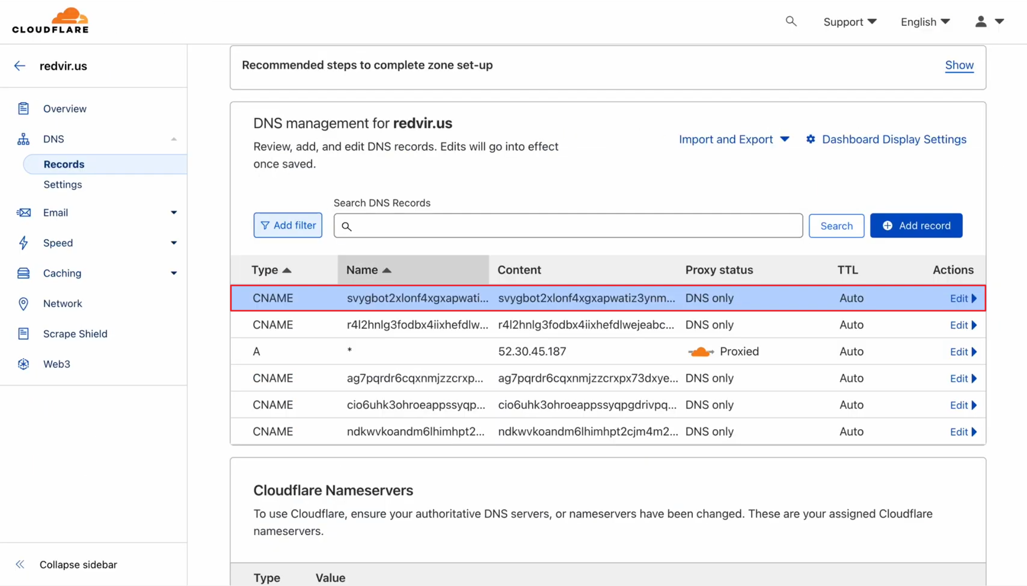 Pasting it in your DNS Management