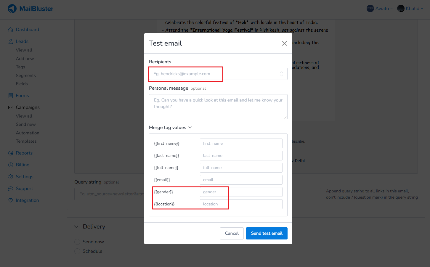 Sending test email using custom merge tag values.