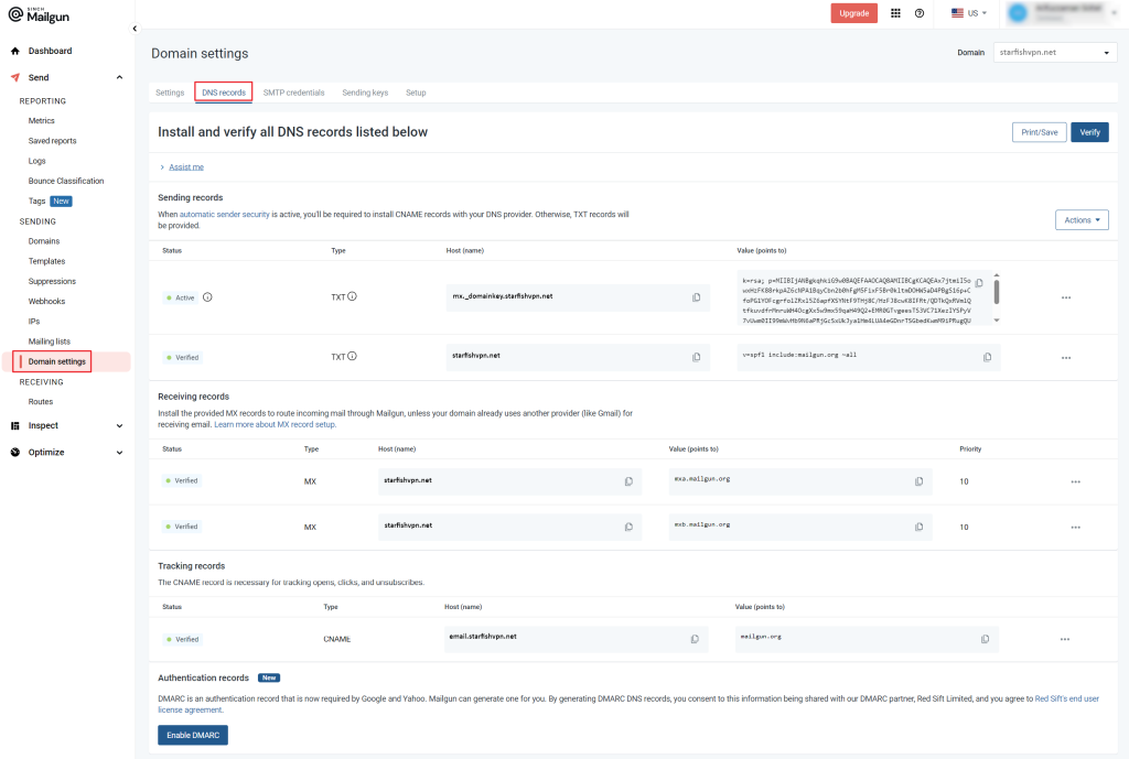 Mailgun Domain Settings showing DNS verification status after being verified.