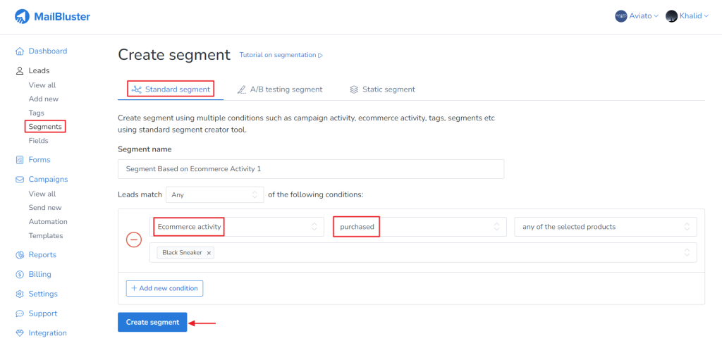 Standard Segment with the condition 'Ecommerce activity' and 'purchased.' 