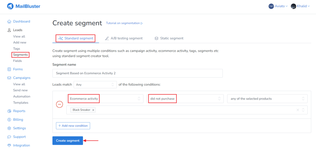 Standard Segment with the condition 'Ecommerce activity' and 'did not purchase.'